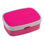 zum Artikel Rosti Mepal Campus Midi Brotdose pink lila Brotbox Frühstücksdose